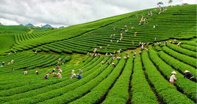 Voyage du Nord au Sud Vietnam en 21 jours