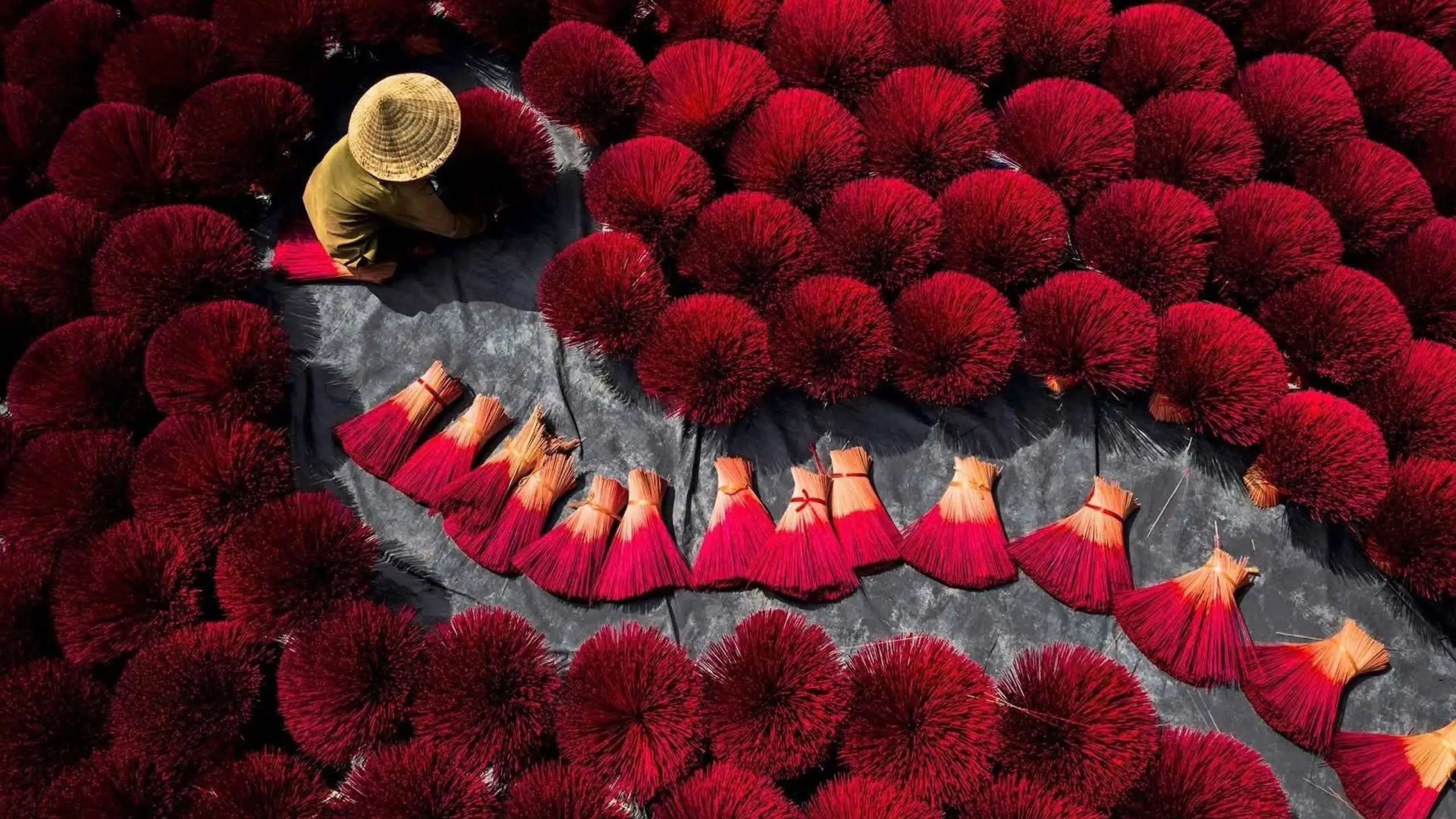 Avis Voyage au Vietnam - Groupe ou sur mesure, que choisir ?
