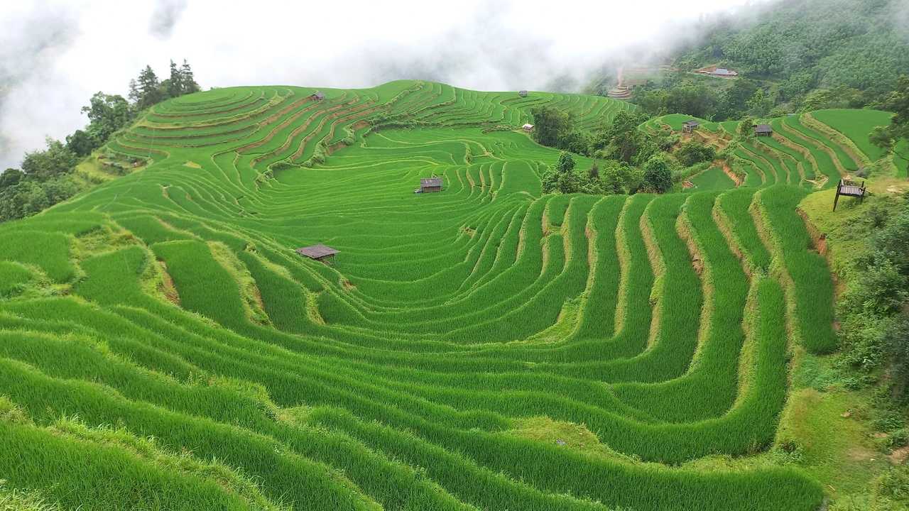 Circuit Vietnam f&eacute;vrier 2027: M&eacute;t&eacute;o, Guide, Conseils