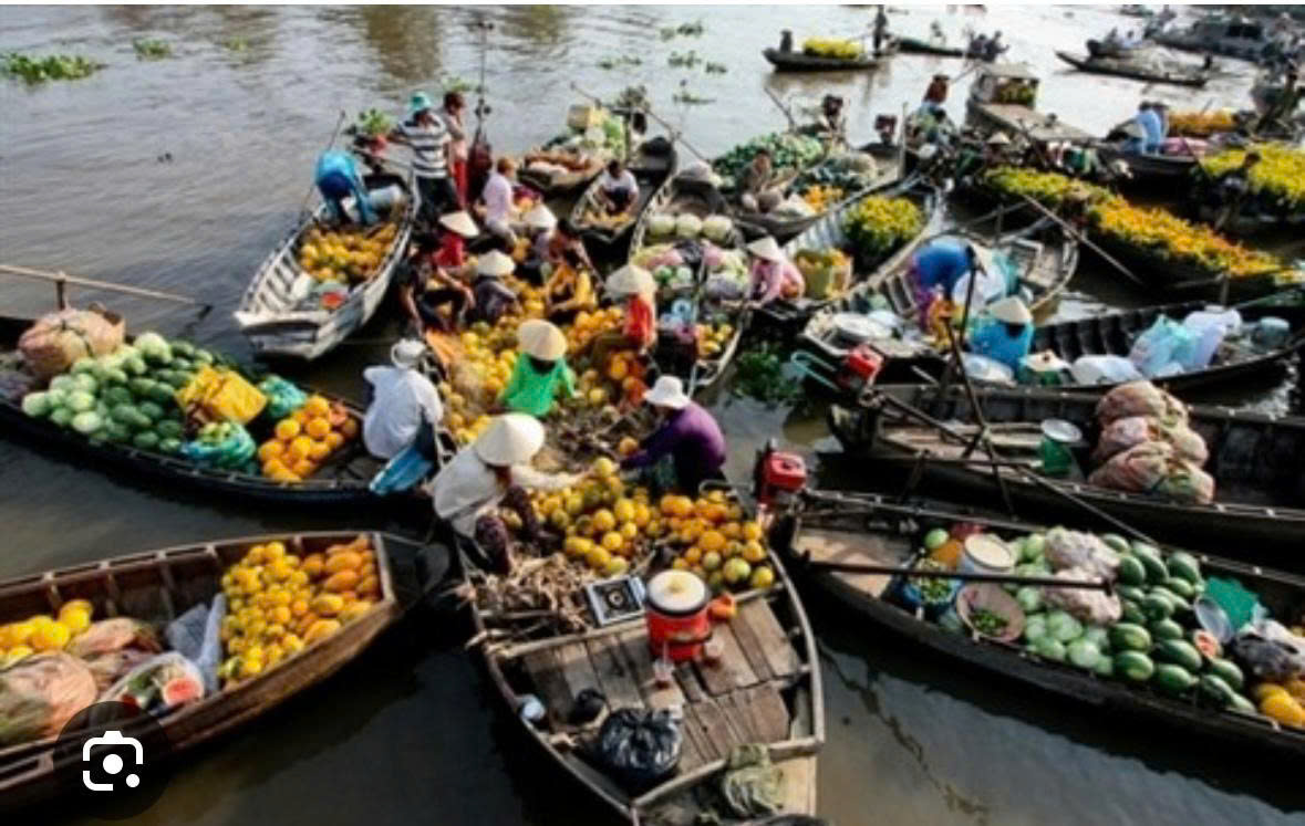 Le Vietnam Avis : Une Analyse Approfondie des Perceptions et Expériences en Avril 2026