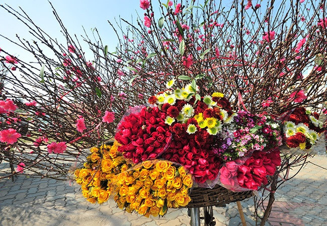 Les fleurs de la fête du Têt au Vietnam
