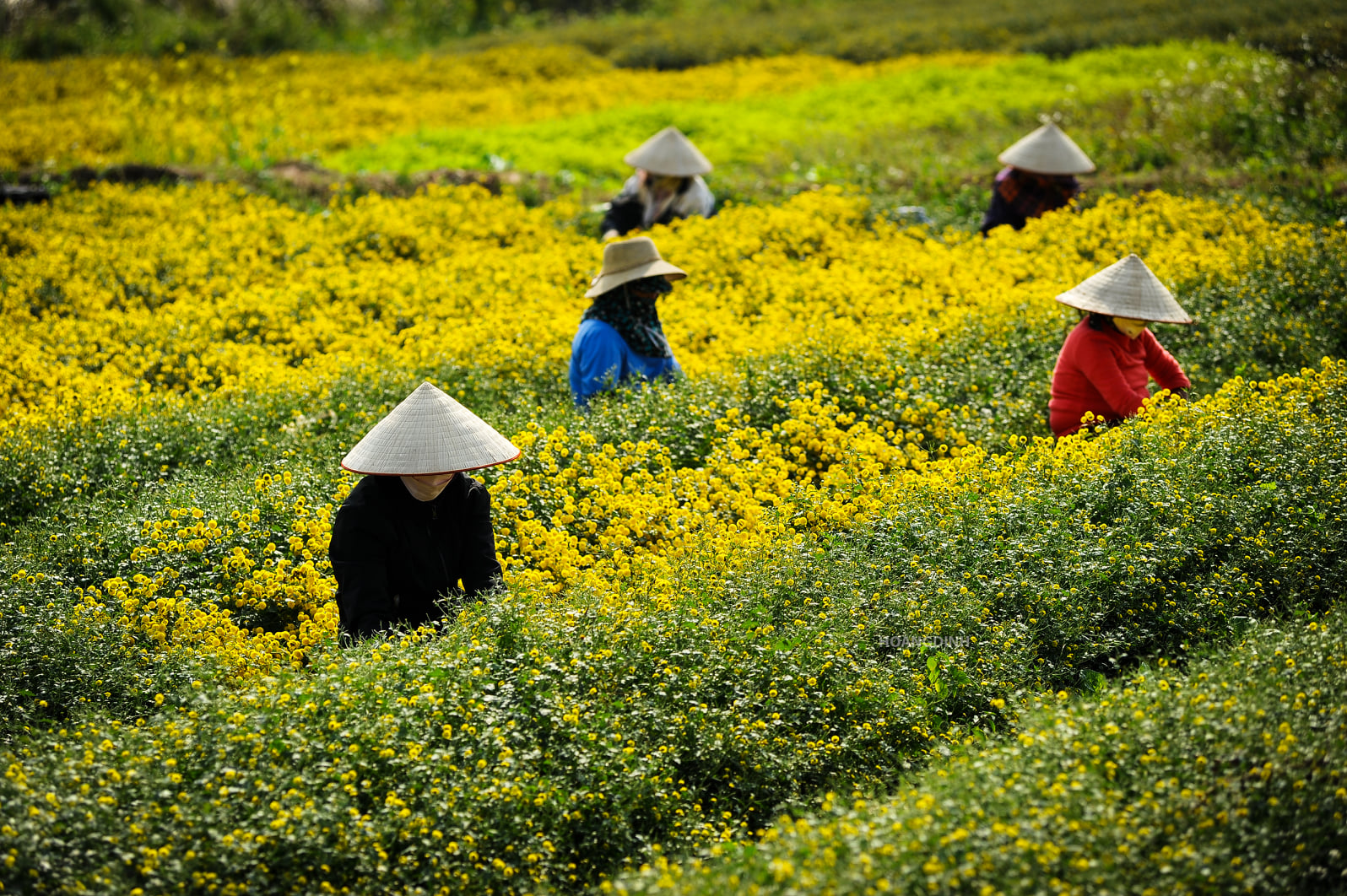 Nord Vietnam Quand Partir - Le Guide Ultime Pour Votre Voyage
