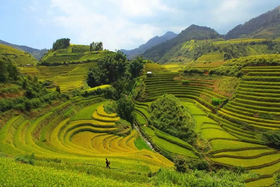 Nord Vietnam Quand Partir - Le Guide Ultime Pour Votre Voyage