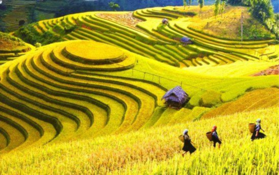 Circuit Vietnam Septembre 2027 : Météo, Guide, Conseils