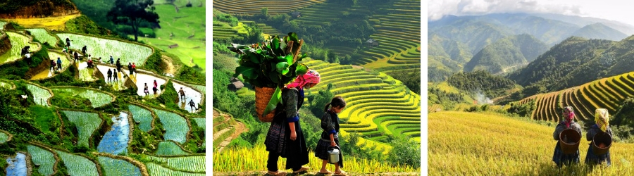 Voyage Nord Vietnam