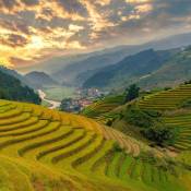 Circuit Vietnam Aout 2027: Météo, Guide, Conseils