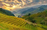 Circuit Vietnam Aout 2027: Météo, Guide, Conseils