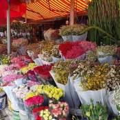 Les marchés aux fleurs du Têt à Hanoi au Vietnam