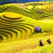Circuit Vietnam Septembre 2027 : Météo, Guide, Conseils