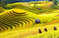 Circuit Vietnam Septembre 2027 : Météo, Guide, Conseils