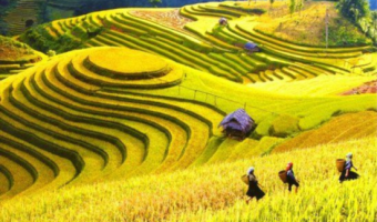 Circuit Vietnam Septembre 2027 : Météo, Guide, Conseils