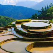 Avis Circuit Vietnam - Circuit en Groupe ou sur mesure?