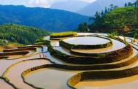 Avis Circuit Vietnam - Circuit en Groupe ou sur mesure?