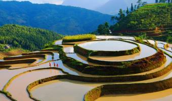 Avis Circuit Vietnam - Circuit en Groupe ou sur mesure?
