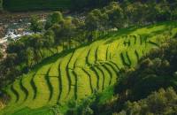 Quel est le prix d'un circuit au Vietnam ? Guide des tarifs et options de voyage