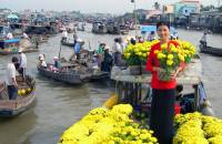 Circuit Vietnam février 2027: Météo, Guide, Conseils