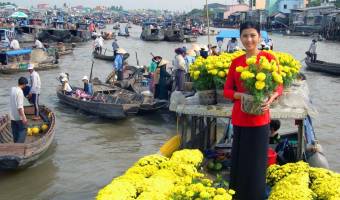 Circuit Vietnam février 2027: Météo, Guide, Conseils